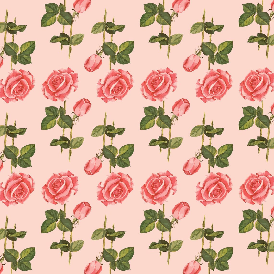 Pink Rose PNG EPS and SVG Vector Graphic - Illustration - Etching Style ...