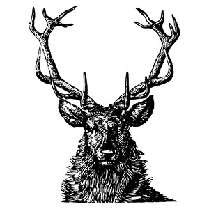 Deer Buck EPS/Vector Graphic - Woodcut Style Art - Vintage & Antique Look