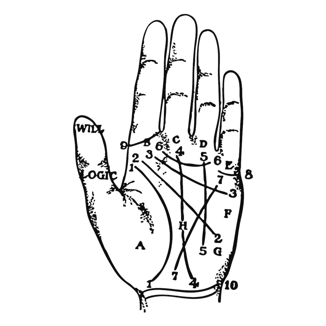 Palm Reading Hand Vector Graphic: Vintage Etching Style (digital ...