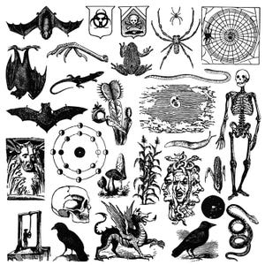 Puede incluir: Colección de ilustraciones en blanco y negro con elementos góticos y de Halloween. Incluye murciélagos, arañas, un esqueleto, una calavera, un cuervo, un dragón y otras imágenes espeluznantes. Ideal para proyectos de manualidades o decoración de temporada.