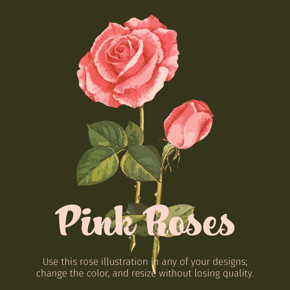 Pink Rose PNG EPS and SVG Vector Graphic - Illustration - Etching Style ...