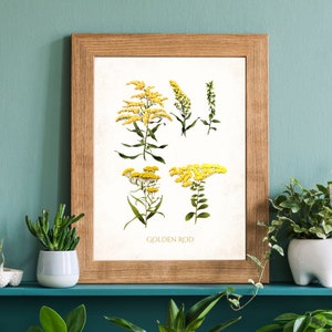 Impression fleur jaune 8 x 10 - téléchargement numérique - verge d'or - estampes botaniques vintage - impression fleur vintage - oeuvre d'art vintage