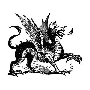 May include: Black and white illustration of a dragon with large wings, a long tail, and sharp claws. The dragon is depicted in a dynamic pose, with its mouth open and tongue extended. The artwork has a vintage, woodcut style.
