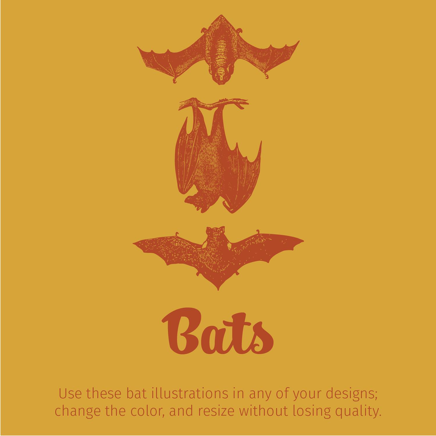 Bats Vector Graphic: Etching Style Illustration (eps Png Jpg Digital ...