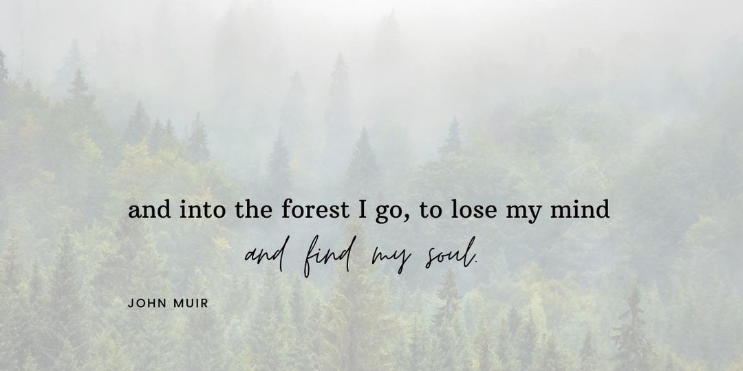 Into the Forest I Go Digital Print | John Muir Quote | Nature Wall Art ...