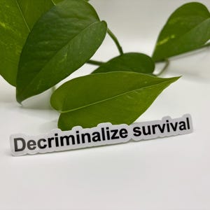 May include: A white sticker with the words "Decriminalize survival" in black lettering. The sticker is placed in front of green leaves from a plant, set against a white background.