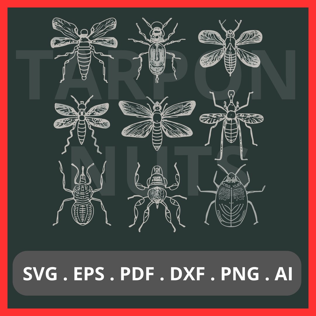 Various Insects Svg Black and White Insects Png Insect Anatomy Svg ...