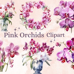 33 PNG Watercolor Pink Orchid Clipart, Orchid PNG Clip Art Bundle, Spring Floral Clipart, Orchids Print Instant Download, Orchid Sublimation