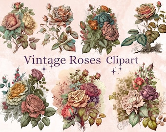 27 PNG Akwarela Vintage Roses Clipart, Vintage Roses png bundle, Vintage Botanical Illustrations, Vintage Floral Flowers png Clip Art set