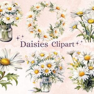 30 PNG aquarelle marguerites Clipart, Daisy PNG Clip Art Bundle, printemps Floral Clipart, Daisy Print Téléchargement instantané, Daisy Graphic Sublimation