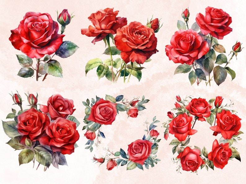 30 PNG Watercolor Red Roses Clipart Bundle, Red Rose PNG Clip Art ...