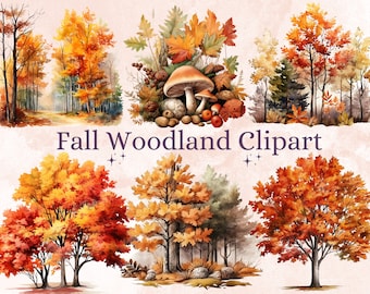 Fall / Thanksgiving