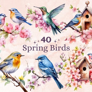 40 PNG Aquarela Spring Birds Clipart, Floral Spring Birdhouse Illustrations Clip art, Cute Hummingbirds Png, Birds On Branch Sublimation