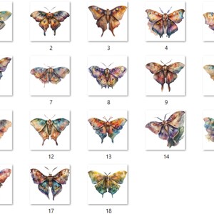 18 PNG Watercolour Magical Moths Clipart, Moths Fantasy style, Mystical Butterflies clipart, Fantasy Butterfly png bundle, Mystical Pagan png