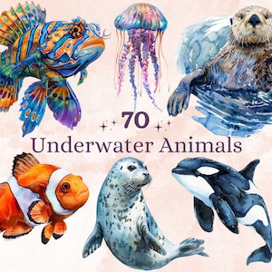 70 PNG Watercolor Underwater Animals Bundle Clipart, Ocean Nursery Clip art, Realistic Sea Animals png, Sealife Sublimation, Under the Sea