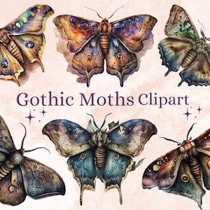 20 PNG Aquarell Gothic Motten Clipart, Clip Art Motte, Gothic Schmetterling Png Bundle, Magische Schmetterlinge Clipart, Mystische Motte Pagan png