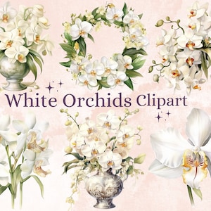30 PNG Aquarell weiße Orchideen Clipart, Orchidee PNG Clip Art Bundle, Frühling Blumen Clipart, Orchideen sofortiger Download Set, Orchidee Sublimation