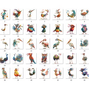 45 PNG Watercolor Quirky Birds Clipart, Whimsical Crazy Birds Illustrations Clip art, Funny Cartoon Bird Emotions png, Quirky Sublimation