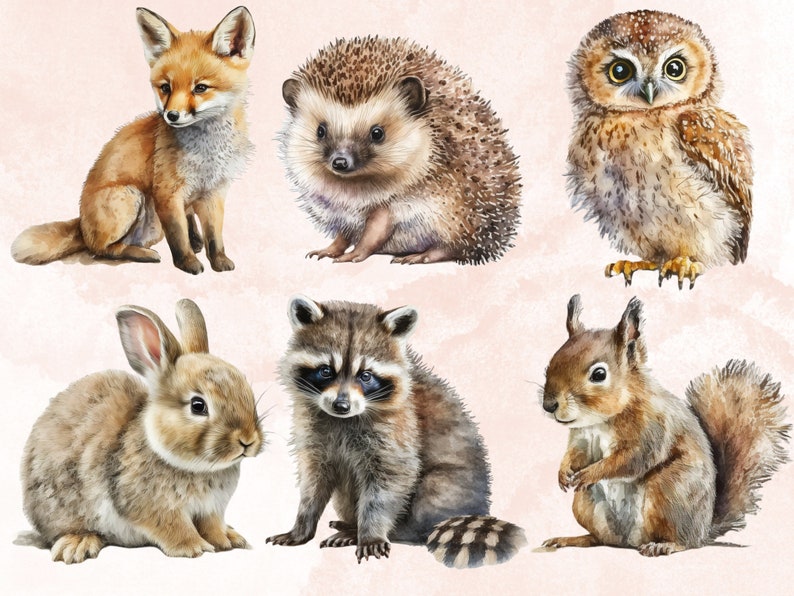 29 PNG Watercolor Baby Woodland Animals Clipart Bundle, Little Woodland ...