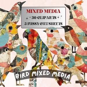 Puede incluir: Una colección de coloridos cliparts de pájaros en técnica mixta. Las aves están hechas de varios papeles estampados y presentan una variedad de colores, incluyendo azul, amarillo, rojo y verde. El texto en la imagen dice "MIXED MEDIA" y "BIRD MIXED MEDIA".