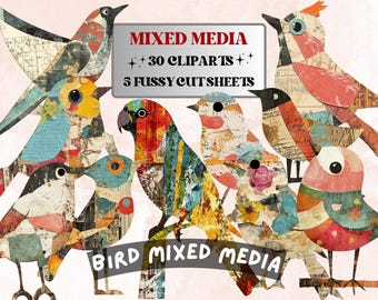 Whimsical Bird Mixed Media Clipart, Whimsy Bird Fussy Cut Collage Sheet, Quirky Cut Out Ephemera, Grunge Texture for Scrapbook, Junk Journal