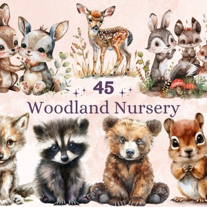 45 PNG Watercolor Woodland Nursery Clipart, Forest Baby Shower Illustration Clip art, Boho Newborn png, Woodland Baby Animals Sublimation