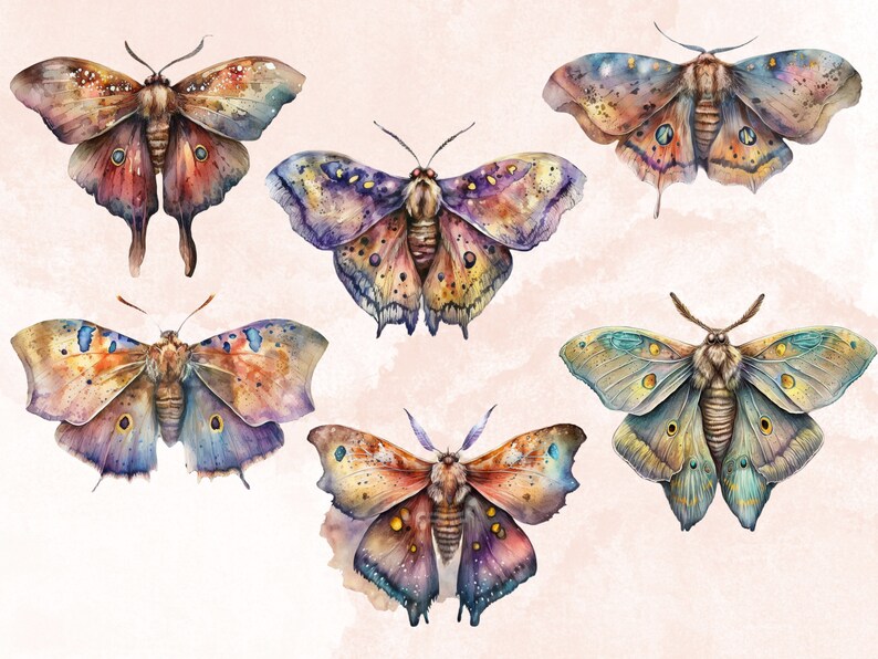 18 PNG Watercolour Magical Moths Clipart, Moths Fantasy style, Mystical Butterflies clipart, Fantasy Butterfly png bundle, Mystical Pagan png