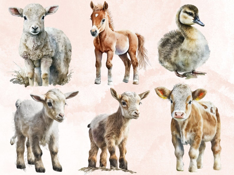 32 PNG Watercolor Little Cute Farm Animals Clipart, Baby Farm Animals ...