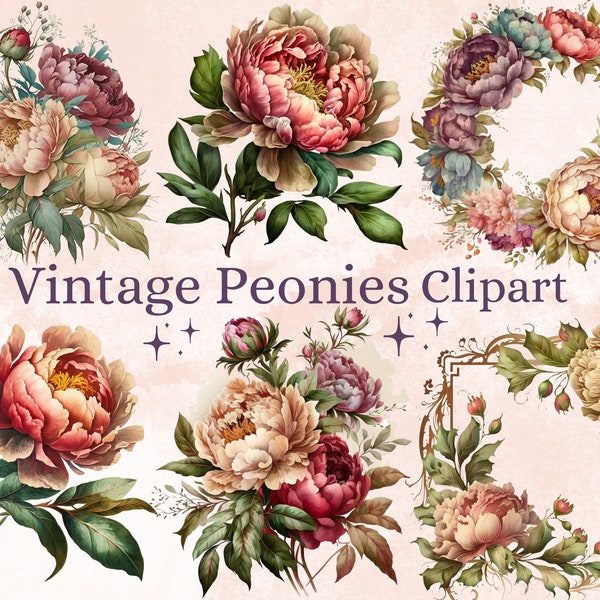 20 PNG Watercolour Vintage Peonies Clipart, Retro Peony Clip Art, Botanical Illustrations pack, Vintage Peony Flower Arrangement png bundle