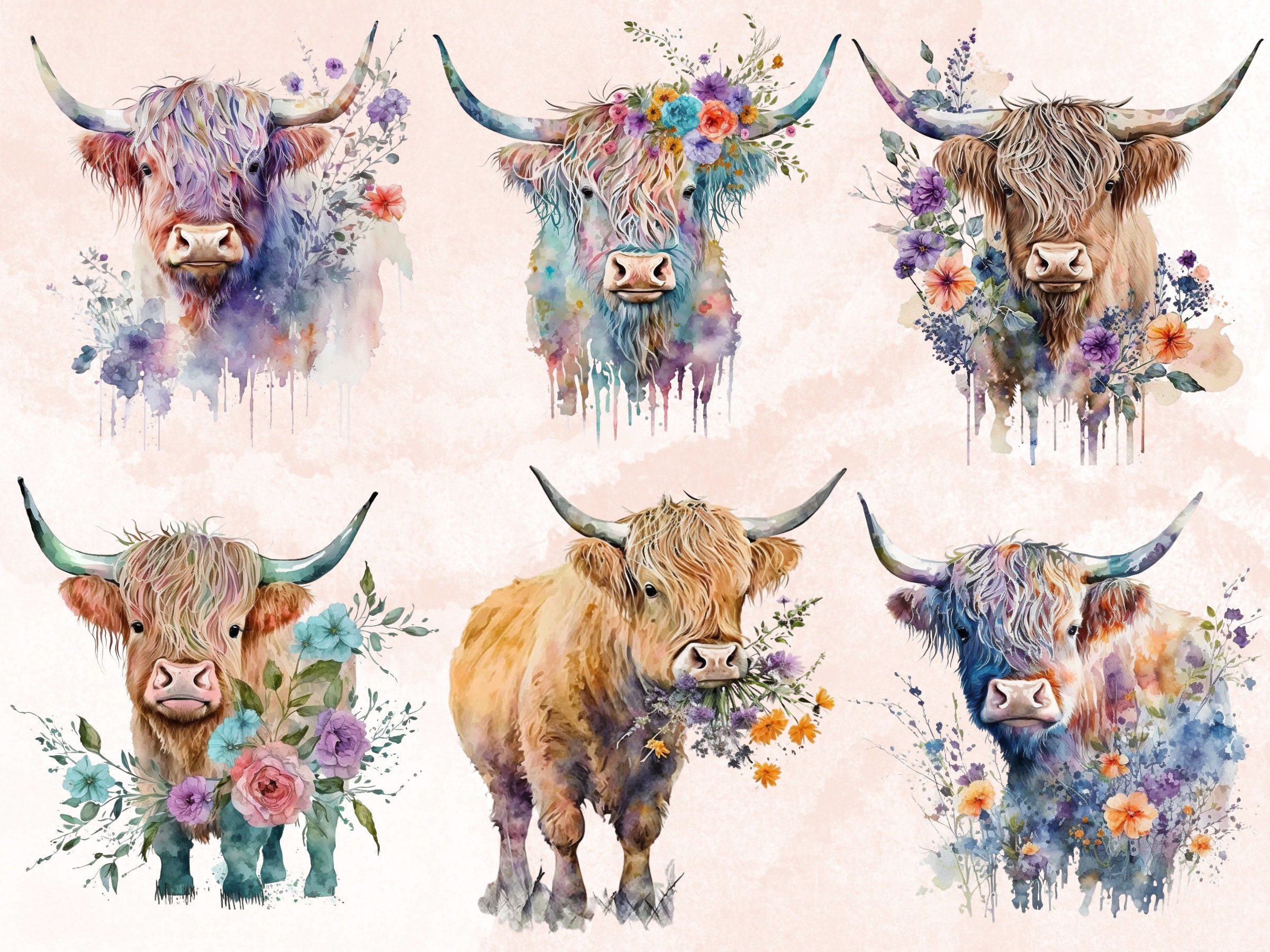 27 PNG Watercolor Floral Highland Cow Clipart, Highland With Flowers ...