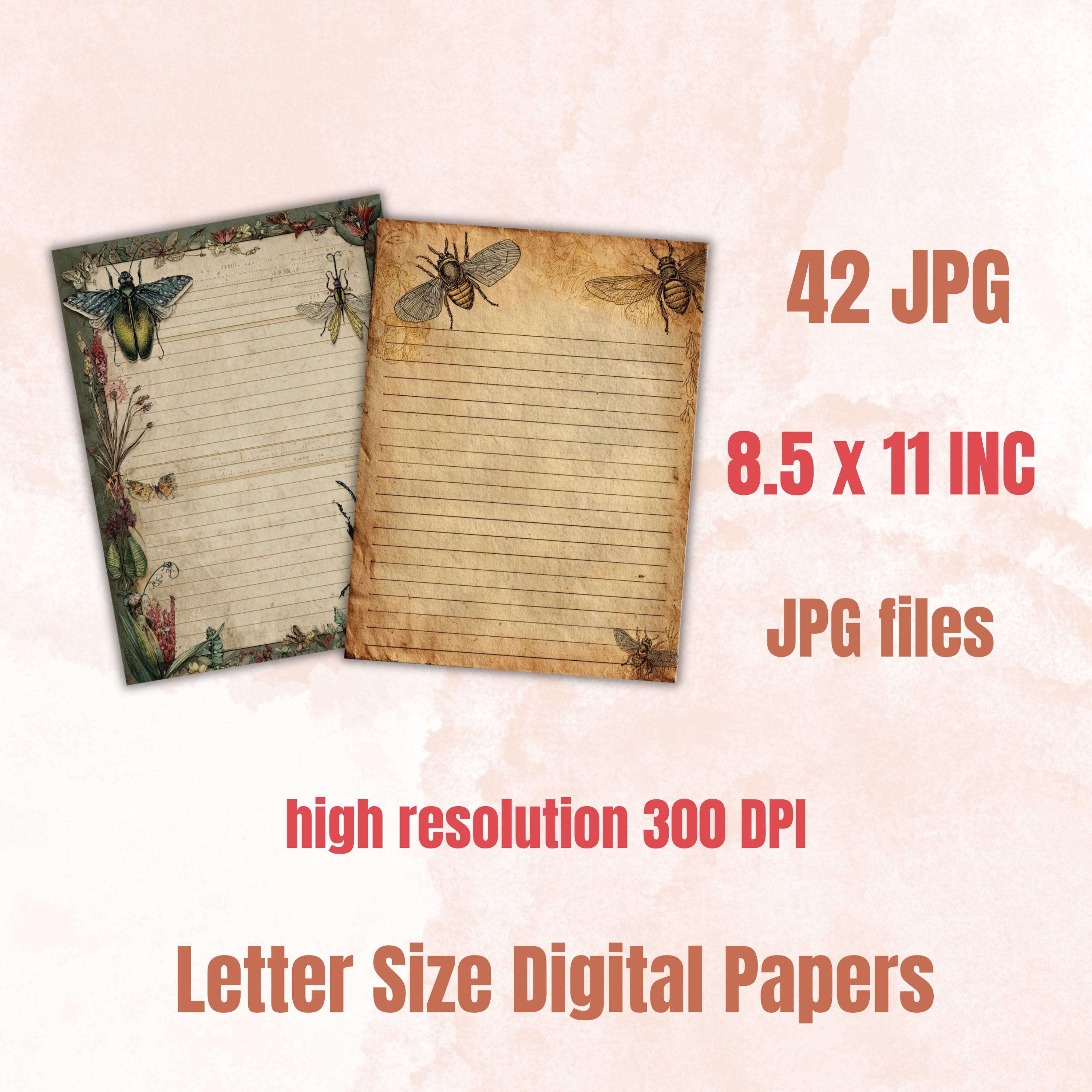 42 Insect Border Pages, Bug Writing Paper Printable, Nature Journal ...