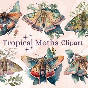 18 PNG Aquarell tropische Motten Clipart, Floral Moth Clip Art, magische Fantasy Schmetterling heidnischen Png Bundle, Tropical Floral Schmetterlinge