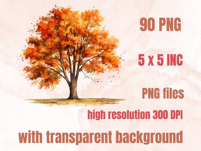 90 PNG Watercolor Fall Big Bundle Clipart, Rustic Autumn Illustrations ...