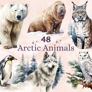 May include: A watercolor illustration of 48 Arctic animals, including a polar bear, walrus, lynx, penguin, wolf, and snowy owl. The animals are depicted in a snowy winter landscape.
