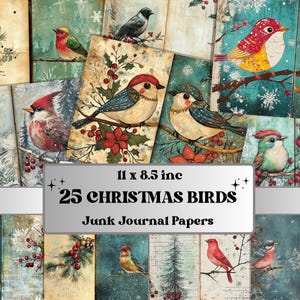 Kit de carnet de notes oiseaux de Noël, éphémères colibris d'hiver, feuille de collage technique mixte, papier de scrapbooking de Noël, carte ATC de Noël originale