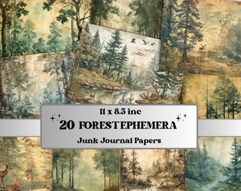 May include: A set of 20 digital papers featuring vintage illustrations of forest scenes. The papers are 11 x 8.5 inches and are perfect for scrapbooking, card making, and other paper crafts.