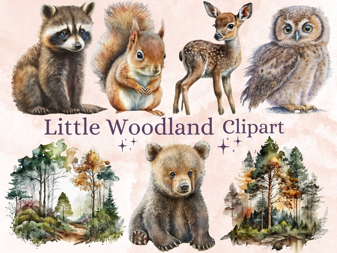 29 PNG Watercolor Baby Woodland Animals Clipart Bundle, Little Woodland ...