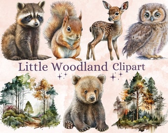 29 PNG Watercolor Baby Woodland Animals Clipart Bundle, Little Woodland Babies Clip art PNG Bundle, Nursery Woodland Cute Animal Clipart Set