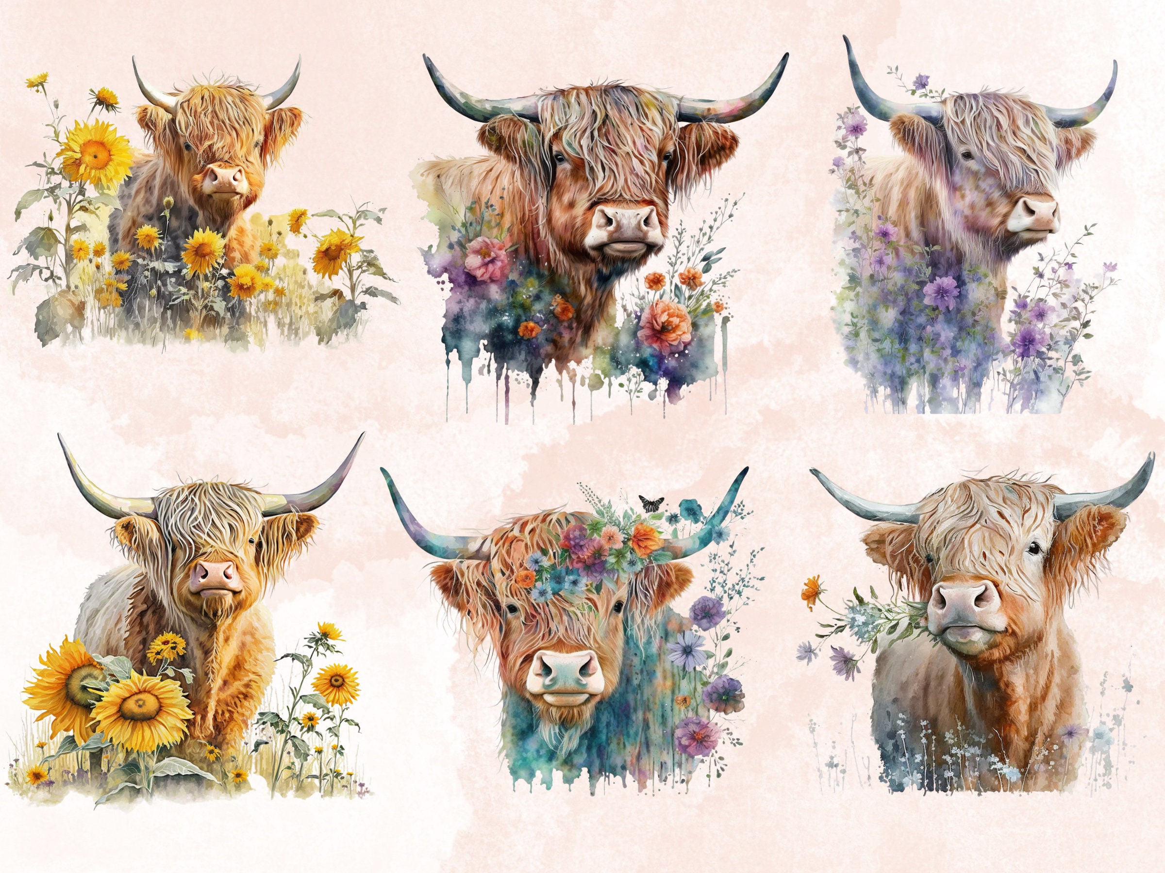27 PNG Watercolor Floral Highland Cow Clipart, Highland With Flowers ...