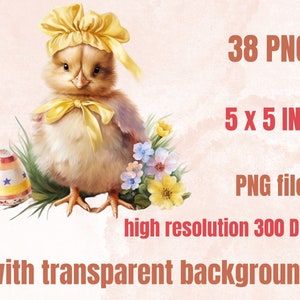 38 PNG Watercolor Easter Chick Clipart, Floral Easter Chick Illustrations Clip art, Garden Farmer Chicken Sublimation, Cute Spring Birds Png