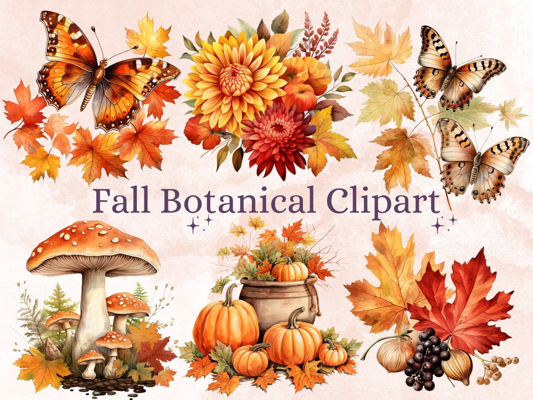 45 PNG Watercolor Fall Botanical Clipart, Autumn Flowers Illustrations ...