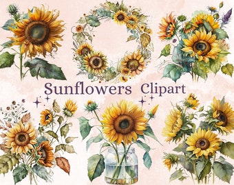 May include: Watercolour clipart featuring sunflowers in various arrangements. Some sunflowers are in a vase, others are in a wreath, and some are in bouquets. The background is a soft pink.