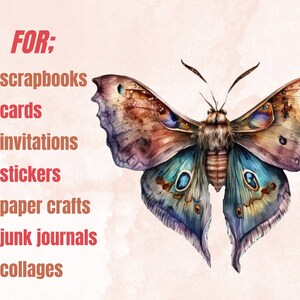 18 PNG Watercolour Magical Moths Clipart, Moths Fantasy style, Mystical Butterflies clipart, Fantasy Butterfly png bundle, Mystical Pagan png