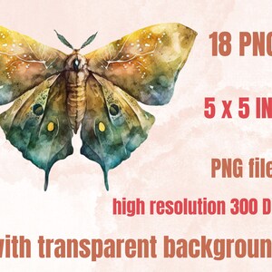 18 PNG Watercolour Magical Moths Clipart, Moths Fantasy style, Mystical Butterflies clipart, Fantasy Butterfly png bundle, Mystical Pagan png