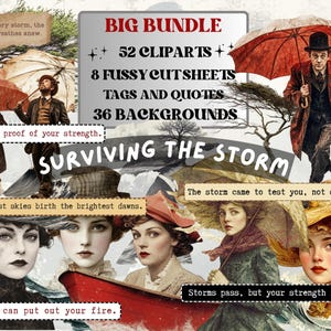 Surviving the Storm Collage Pack, Whimsical Ephemera Fussy Cut, Inspirational Tags and Quotes, Feelings Scrapbook, Surreal Art Background