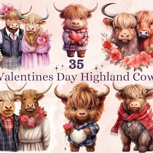 35 PNG acuarela Día de San Valentín Highland Cow Clipart, Día de San Valentín Vaca Pareja Ilustraciones Clip art, Lindo Amor Animales Png Sublimación