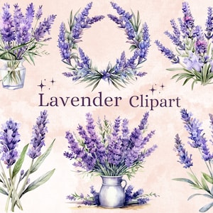 30 PNG Acquerello Lavanda Fiore Clipart, ClipArt di Provenza, Clipart Floreale Viola, Pacchetto PNG Giardino di Lavanda, Lavanda Download istantaneo