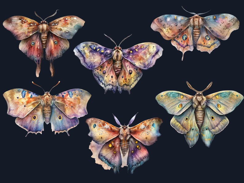18 PNG Watercolour Magical Moths Clipart, Moths Fantasy style, Mystical Butterflies clipart, Fantasy Butterfly png bundle, Mystical Pagan png
