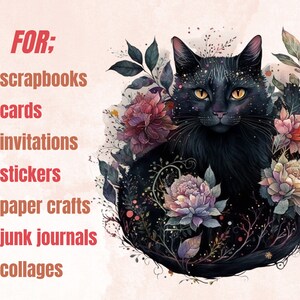 16 PNG Watercolor Fantasy Black Cats Clipart, Black Cat Clip Art, Celestial Black Cat Clipart, Magical clipart, Witchcraft Bundle, pagan png