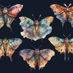 18 PNG Watercolour Magical Moths Clipart, Moths Fantasy style, Mystical Butterflies clipart, Fantasy Butterfly png bundle, Mystical Pagan png